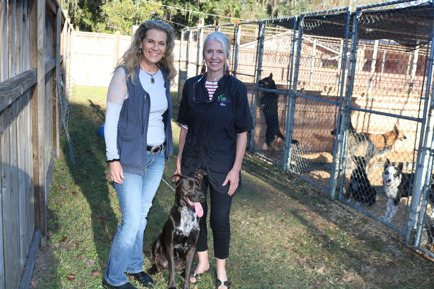 Sunland Acres Pet Boarding team manager Tish Finnieston and owner Lynn Lamoureux at the facility.